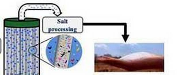 Microplastic filter for seawater